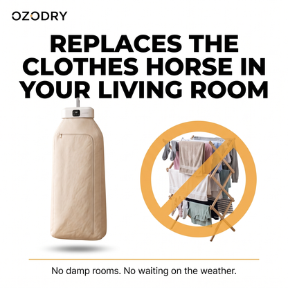 Portable OzoDry